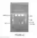 Fig. 44 - Influenza virus mutants and uses therefor