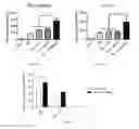 Fig. 07 - Methods and Compositions Comprising Hyaluronan for Enhancing Bone Marrow Cell Therapy