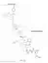 Fig. 09 - Polymeric conjugates and uses thereof