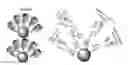 Fig. 01 - Nanoparticle compositions for sustained therapy