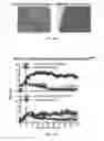 Fig. 40 - Nanoparticle compositions for sustained therapy