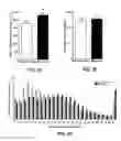 Fig. 07 - Systemic delivery of myostatin short interfering nucleic acids (siNA) conjugated to a lipophilic moiety