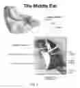 Fig. 02 - Method and system to stimulate the intracochlear electrodes in cochlear implants