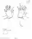 Fig. 02 - GLOVE AND WEIGHT SYSTEM AND METHOD