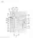 Fig. 06 - Filtration filter device