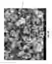 Fig. 06 - Iron-selenide-oxide sorbent composition for removing mercury (Hg) vapor from a gaseous stream; methods of use and methods of manufacture