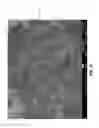 Fig. 07 - Iron-selenide-oxide sorbent composition for removing mercury (Hg) vapor from a gaseous stream; methods of use and methods of manufacture