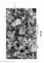Fig. 09 - Iron-selenide-oxide sorbent composition for removing mercury (Hg) vapor from a gaseous stream; methods of use and methods of manufacture