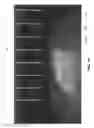 Fig. 02 - Pixelated water display and design tools therefor