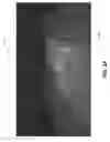 Fig. 09 - Pixelated water display and design tools therefor