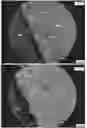 Fig. 48 - THREE-DIMENSIONAL PRINTING OF THREE-DIMENSIONAL OBJECTS