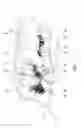 Fig. 05 - Adjustment system for optical assemblies designed especially for motor vehicle headlights