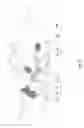 Fig. 06 - Adjustment system for optical assemblies designed especially for motor vehicle headlights