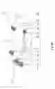 Fig. 07 - Adjustment system for optical assemblies designed especially for motor vehicle headlights
