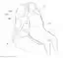 Fig. 01 - Airbag for a vehicle