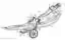 Fig. 01 - Wheeled device for snowmobile ski