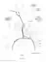 Fig. 06 - Vehicle rear structure