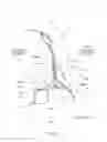 Fig. 09 - Vehicle rear structure