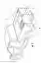 Fig. 16 - Mega elongator
