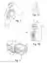 Fig. 04 - Lock mounting assemblies for transportation devices