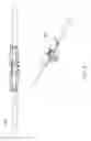 Fig. 09 - Handlebar lights with turn actuator for a bicycle