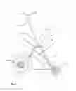 Fig. 02 - Bicycle