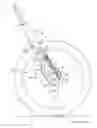 Fig. 01 - Inline shock absorber with gas spring for a cycle wheel suspension assembly