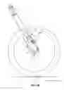 Fig. 11 - Inline shock absorber with gas spring for a cycle wheel suspension assembly