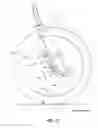 Fig. 19 - Inline shock absorber with gas spring for a cycle wheel suspension assembly