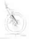 Fig. 01 - Inline shock absorber with coil spring for a cycle wheel suspension assembly