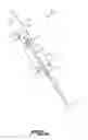 Fig. 09 - Inline shock absorber with gas spring for a cycle wheel suspension assembly