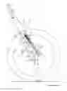 Fig. 01 - Inline shock absorber with coil spring for a cycle wheel suspension assembly