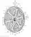 Fig. 01 - Bicycle rear sprocket assembly