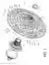 Fig. 02 - Bicycle rear sprocket assembly