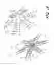 Fig. 20 - Bicycle rear sprocket assembly