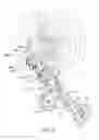 Fig. 04 - Bicycle derailleur