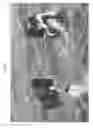 Fig. 02 - Personal flotation device