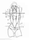 Fig. 01 - Inconspicuous Flotation Apparatus