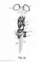 Fig. 31 - Propulsion device for watercraft