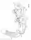 Fig. 10 - Watercraft paddle apparatus