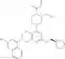 Fig. 586 - KRas G12C inhibitors
