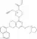 Fig. 976 - KRas G12C inhibitors
