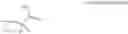Fig. 145 - Substituted dihydropyrrolopyrazole compound