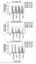 Fig. 08 - Compositions and methods for activating “stimulator of interferon gene”-dependent signalling