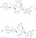 Fig. 33 - Compositions and methods for activating “stimulator of interferon gene”-dependent signalling