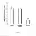 Fig. 06 - METHODS OF TREATING DEPRESSION AND OTHER RELATED DISEASES