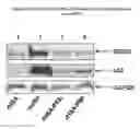 Fig. 06 - Methods of using therapeutic p53 peptides