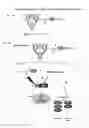 Fig. 09 - Methods of using therapeutic p53 peptides