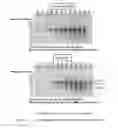 Fig. 02 - Method for producing an active hepatocyte growth factor (HGF)