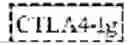 Fig. 02 - Carbohydrate content of CTLA4 molecules